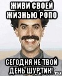 живи своей жизнью ропо Сегодня не твой день шуртик!