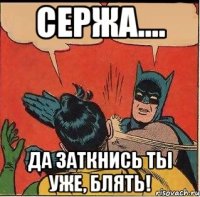 Сержа.... ДА ЗАТКНИСЬ ТЫ УЖЕ, БЛЯТЬ!