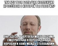 ТАК ГДЕ ТВОЯ БОЛЬШАЯ КОЛЛЕКЦИЯ КРОССОВОК О КОТОРОЙ ТЫ ГОВОРИЛ? ОНА ЗДЕСЬ, В ЧЕРТОГАХ МОЕГО РАЗУМА, СМОТРИТЕ КАК Я ПЕРЕКЛАДЫВАЮ КОРОБКИ И ХОЖУ МЕЖДУ СТЕЛЛАЖАМИ