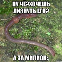 ну чё?Хочешь лизнуть его? а за милион:,