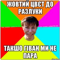 жовтий цвєт до разлуки такшо Гіван ми не пара