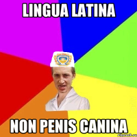 lingua latina non penis canina