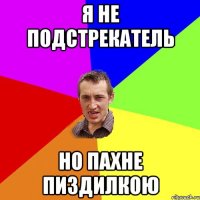 я не подстрекатель но пахне пиздилкою