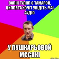 Валік гулял с тамарой, циплята хочіт увідіть маі аудіо у пушкарьовой мєсякі