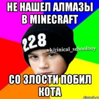 Не нашел алмазы в Minecraft Со злости побил кота