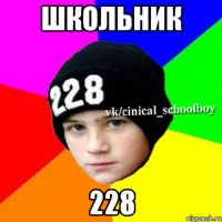 Школьник 228