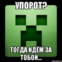 Упорот? Тогда идём за тобой...