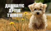 ДАШКА!!!С ДР!!!Je t'aime!!!