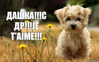 ДАШКА!!!С ДР!!!Je t'aime!!!