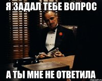 Я задал тебе вопрос А ты мне не ответила