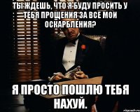 Ты ждешь, что я буду просить у тебя прощения за все мои оскарбления? Я просто пошлю тебя нахуй.