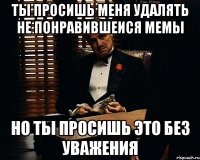 Ты просишь меня удалять не понравившеися мемы Но ты просишь это без уважения