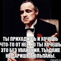 Ты приходишь и хочешь что-то от нее, но ты хочешь это без уважения, ты даже не даришь тюльпаны.