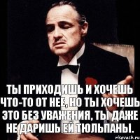 Ты приходишь и хочешь что-то от нее, но ты хочешь это без уважения, ты даже не даришь ей тюльпаны.