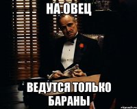 На овец Ведутся только бараны