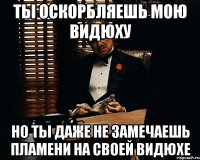 Ты оскорбляешь мою видюху Но ты даже не замечаешь пламени на своей видюхе