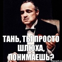 Тань, ты просто шлюха, понимаешь?