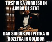 Tu spui sa vorbesc in limba de stat dar singur pui plitka in rozetca in colidor