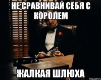 Не сравнивай себя с королем жалкая шлюха