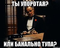 ты упоротая? или банально тупа?