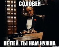 Соловей Не пей, ты нам нужна