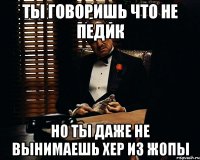 Ты говоришь что не педик но ты даже не вынимаешь хер из жопы