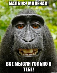 Малыф! Милёнак! Все мысли только о тебе!