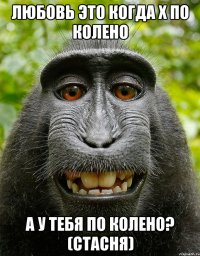 любовь это когда Х по колено а у тебя по колено? (стасня)