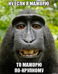 ну если я мажорю, то мажорю по-крупному