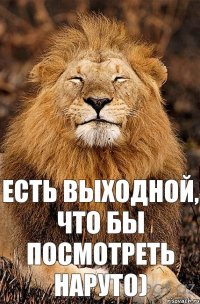 Есть выходной, что бы посмотреть Наруто)