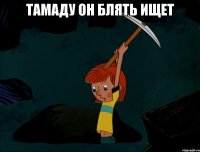 Тамаду он блять ищет 