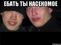 ебать ты насекомое 