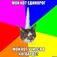 Мой кот единорог Мой кот учится в хогвардс!