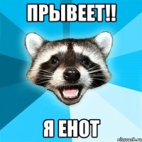 Прывеет!! Я енот