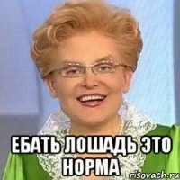  Ебать лошадь это норма