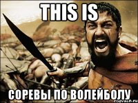 This is Соревы по волейболу