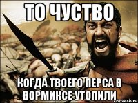 То чуство когда твоего перса в вормиксе утопили