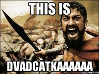 This is dvadcatkaaaaaa