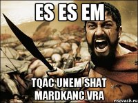 es es em tqac unem shat mardkanc vra