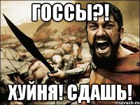 ГОССЫ?! хуйня! Сдашь!