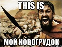 this is мой новогрудок