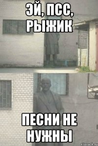 эй, псс, рыжик песни не нужны