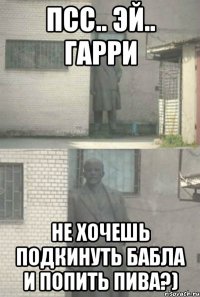 псс.. эй.. Гарри не хочешь подкинуть бабла и попить пива?)