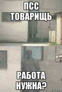 псс товарищь Работа нужна?