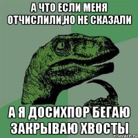 А что если меня отчислили,но не сказали а я досихпор бегаю закрываю хвосты