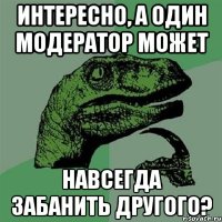 Интересно, а один модератор может навсегда забанить другого?