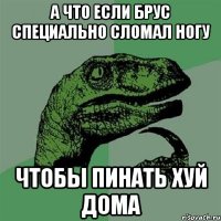 а что если брус специально сломал ногу чтобы пинать хуй дома