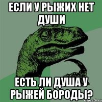 если у рыжих нет души есть ли душа у рыжей бороды?