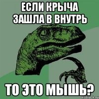 если крыча зашла в внутрь то это мышь?