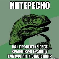 ИНТЕРЕСНО КАК ПРОВЕСТИ ЧЕРЕЗ КРЫМСКУЮ ГРАНИЦУ КАМУФЛЯЖ И СПАЛЬНИК?